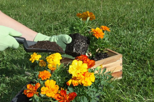 Eco-friendly garden features in Parsons Green with native plants.