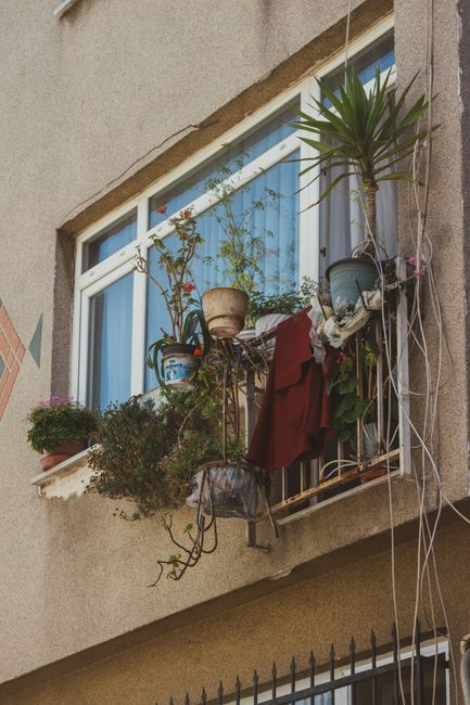 A small balcony garden featuring a variety of potted plants arranged along the bow-shaped ledge and hanging baskets on the metal railing. The plants include lush green herbs, flowering plants with pin